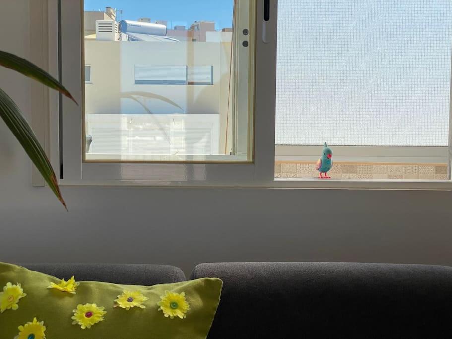 Superstar Terrace Apartment Faro Ngoại thất bức ảnh