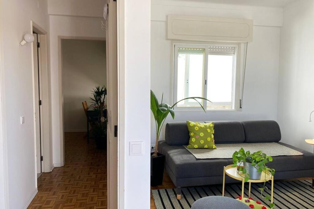 Superstar Terrace Apartment Faro Ngoại thất bức ảnh